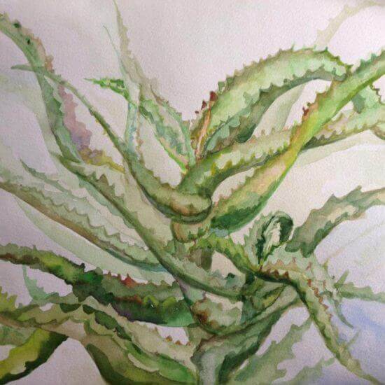 WATERCOLORS
