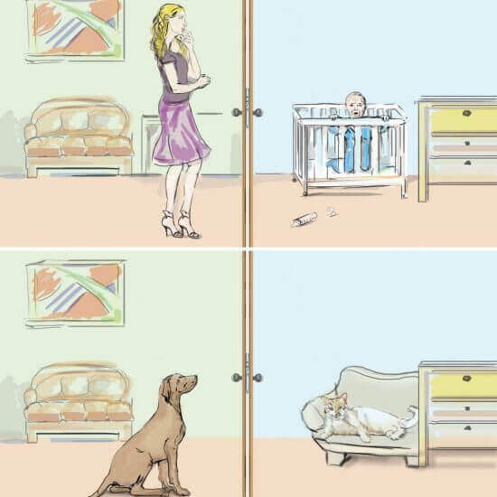 STORY BOARD