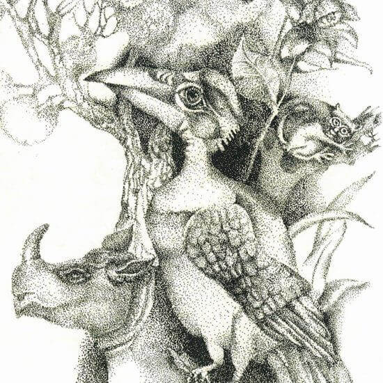 ILLUSTRATIONS