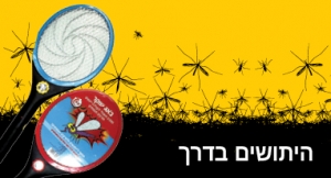 mosquito katan        