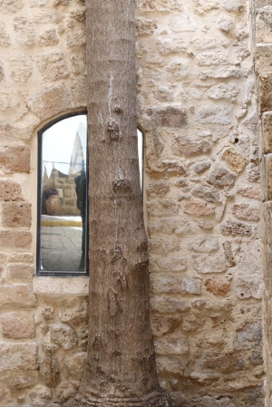 Old Jaffa  