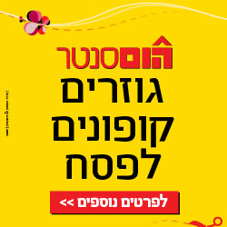 315471 Banner Pesah 250x250 D 