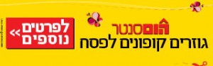 315471 Banner Pesah 320x100 D 